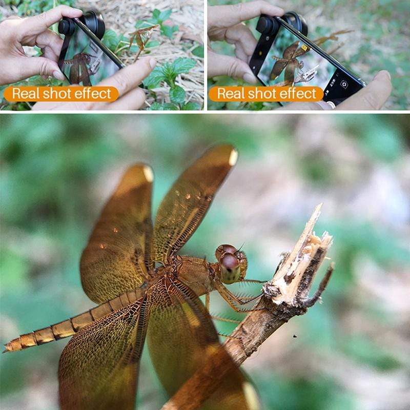 Ulanzi 75mm Macro Phone Lens real shot effect capturing detailed dragonfly and macro shots.