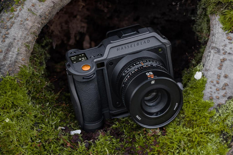 Camera placed in an outdoor environment