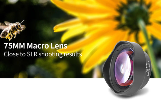 The Best Macro Phone Lenses for Photographers