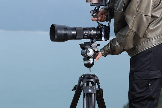 Ball Head vs Gimbal Head: Which Is Better?