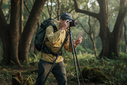 Neutralizing Green Color Casts in Forest and Field Shoots