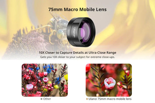 75mm Lens for Beginners: A Great Tool or a Frustrating Mistake?