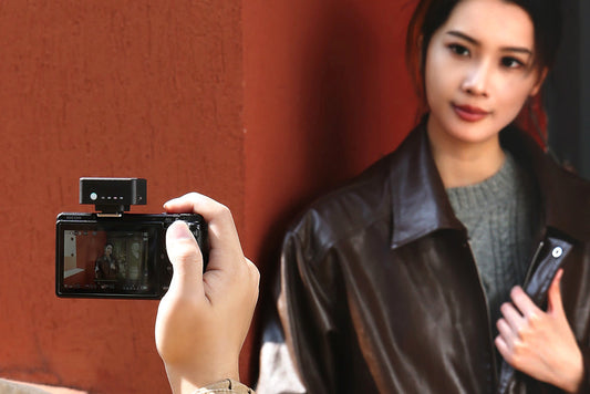 What Is the 20-60-20 Rule in Photography? A Simple Guide for Beginners