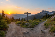 Camera Strap Quick Release vs. Tripod Quick Release: What Each Solves