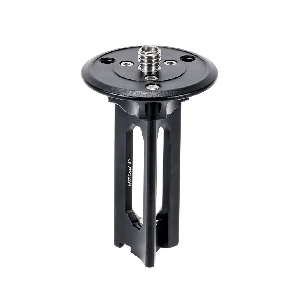 TreeRoot Center Column Module 