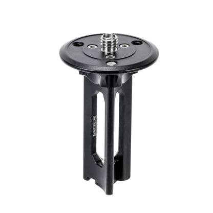 TreeRoot Center Column Module 