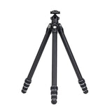 Statyw podróżny Falcam TreeRoot Quick Lock Lite (wysokość 153 cm, udźwig 3 kg, szybkozłączka F38)