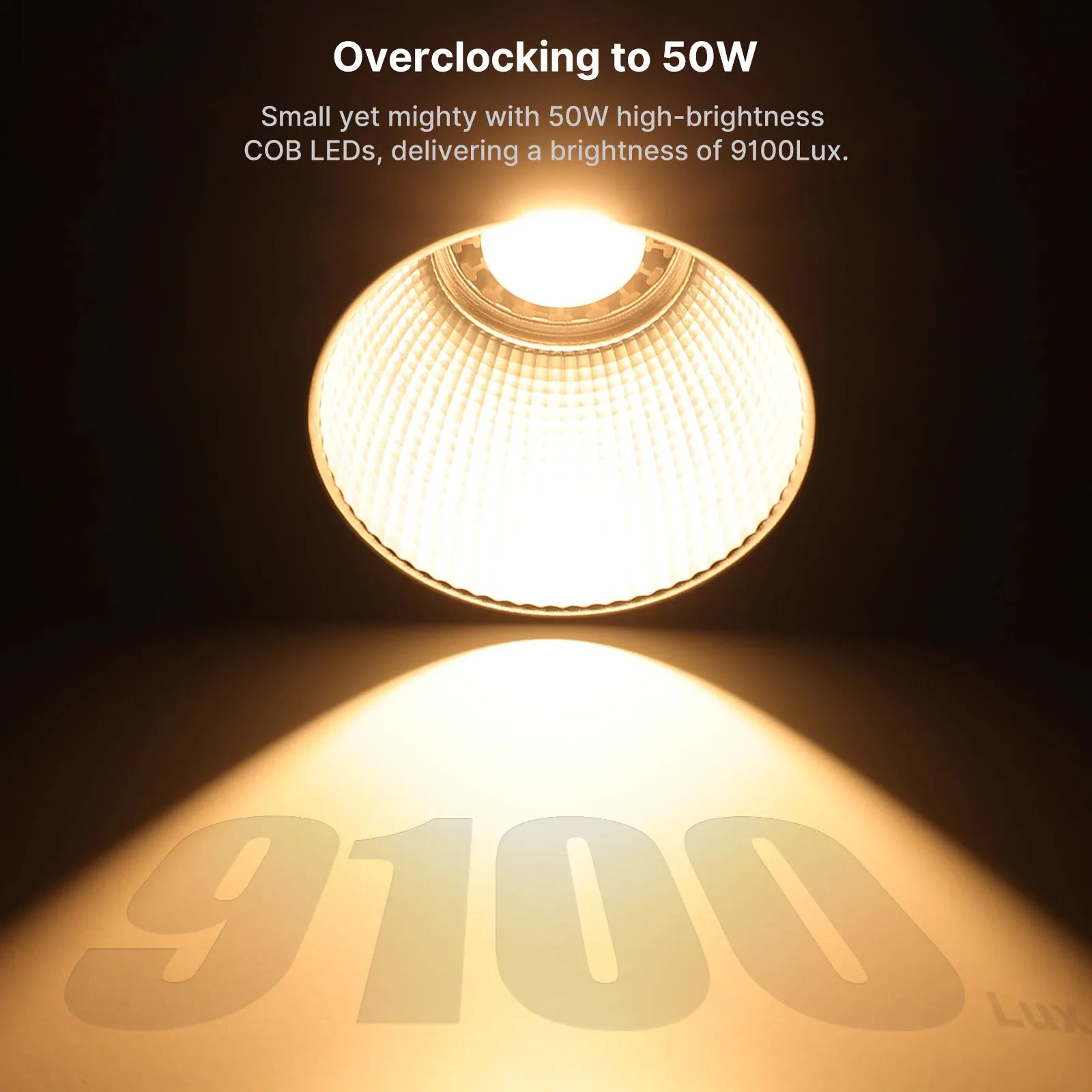 40W RGB Portable LED Video Light | Compact Studio