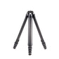 TreeRoot Tripod