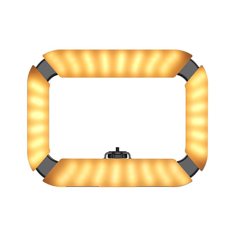 U200 Ring Light Video Rig 2245